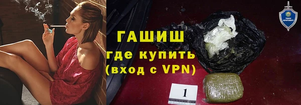 индика Белокуриха