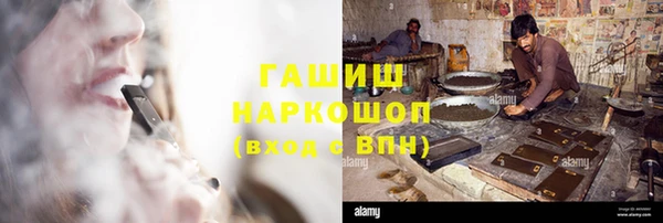 индика Белокуриха
