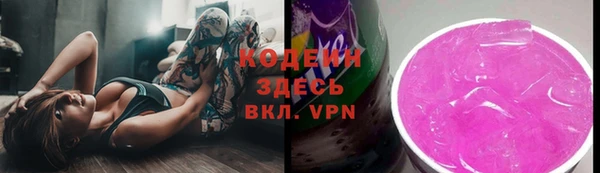 индика Белокуриха