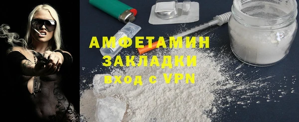 индика Белокуриха