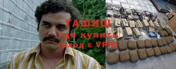 индика Белокуриха