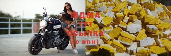 индика Белокуриха